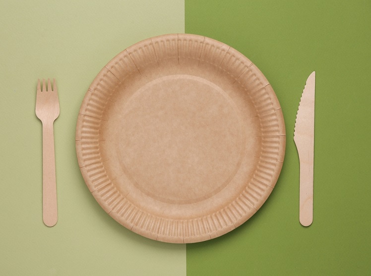 Craft Disposable Plate with Wooden Fork and Knife