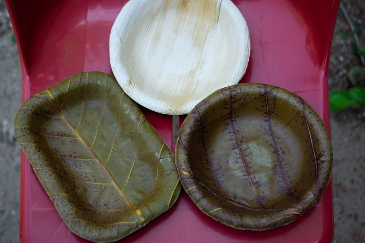 Food Containers Made From Leaves and Natural Materials