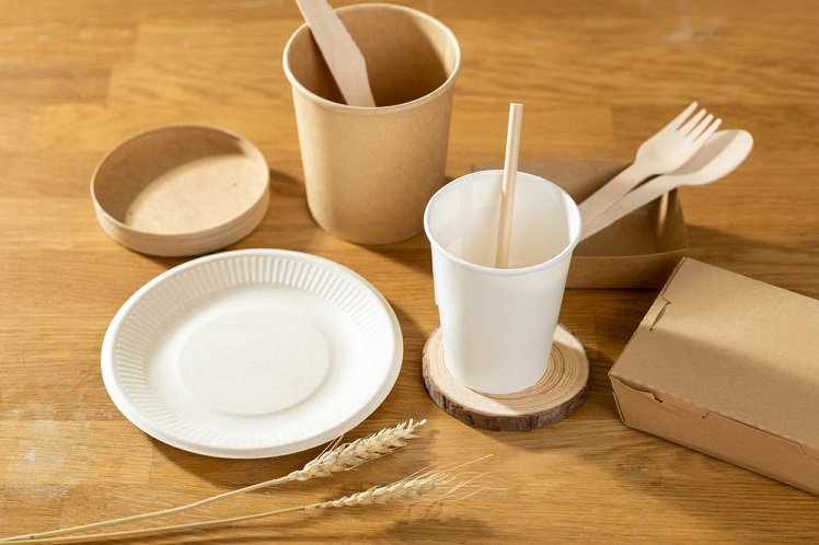 4 Excellent Eco-Friendly Products To Promote A Sustainable Future