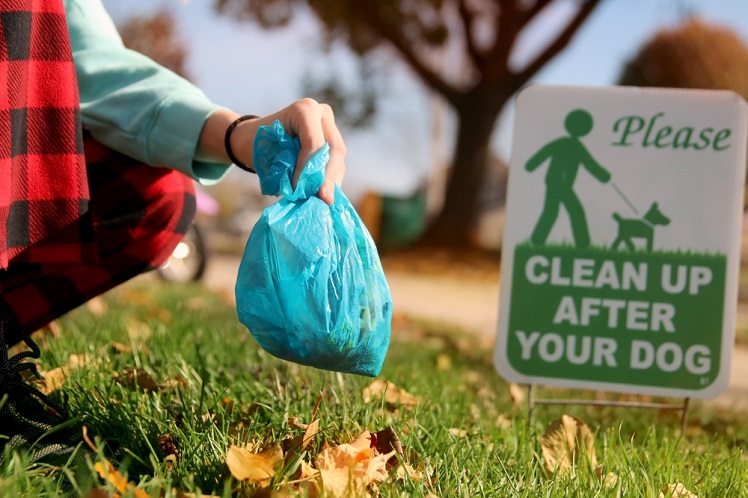 Biodegradable Dog Poop Bags