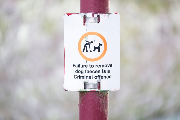 Dog Faeces Failure