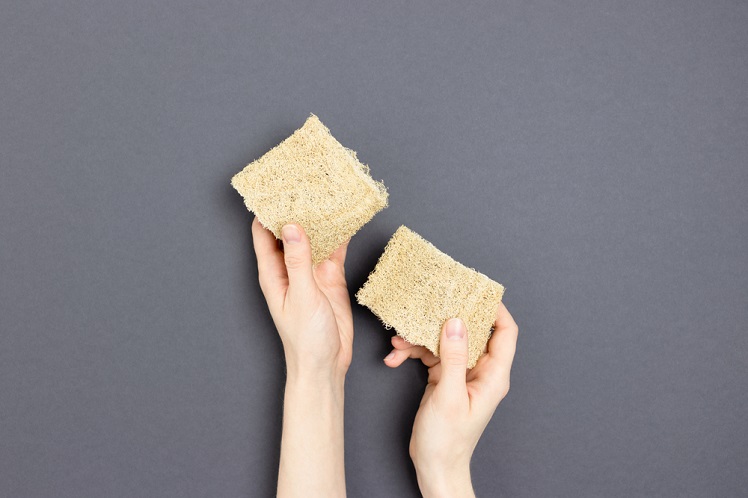 Why Should We Use natural Sponge