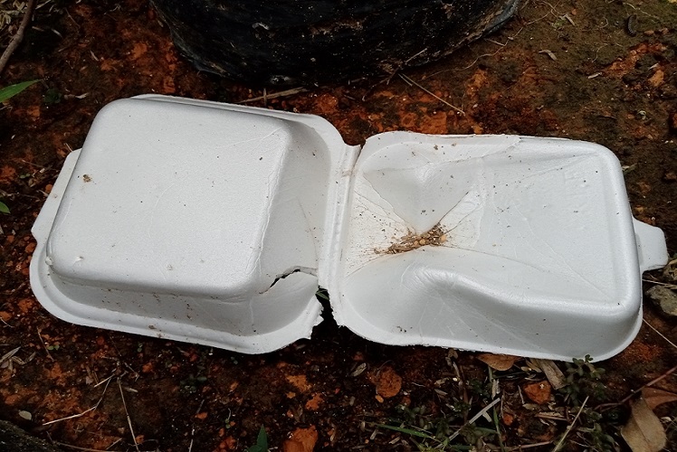 How to Dispose of Styrofoam Properly