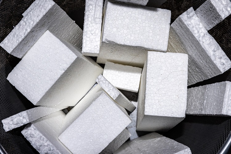 Put Down that Styrofoam Cup! Dangers of Polystyrene