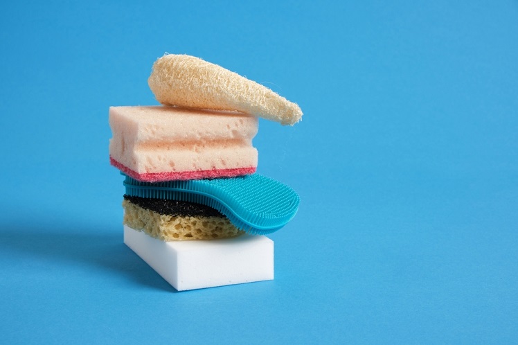 What Brands Of Sponge Are Biodegradable