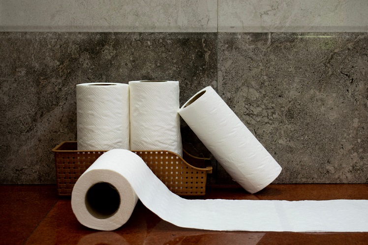 Biodegradable Toilet Paper