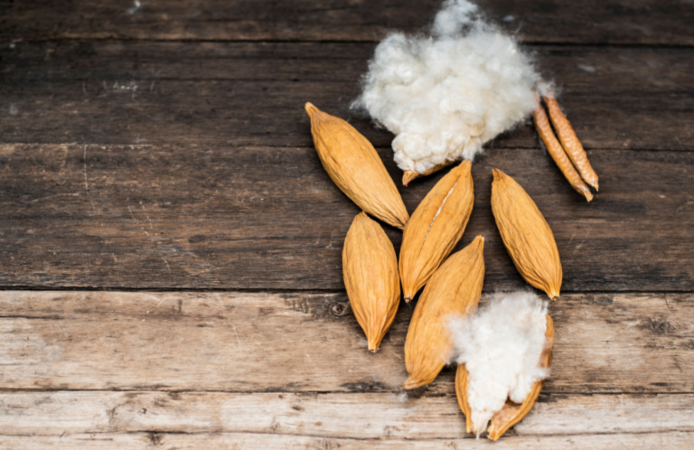 Kapok - a natural fiber that has been tried and tested for thousands o –  Lotuscrafts