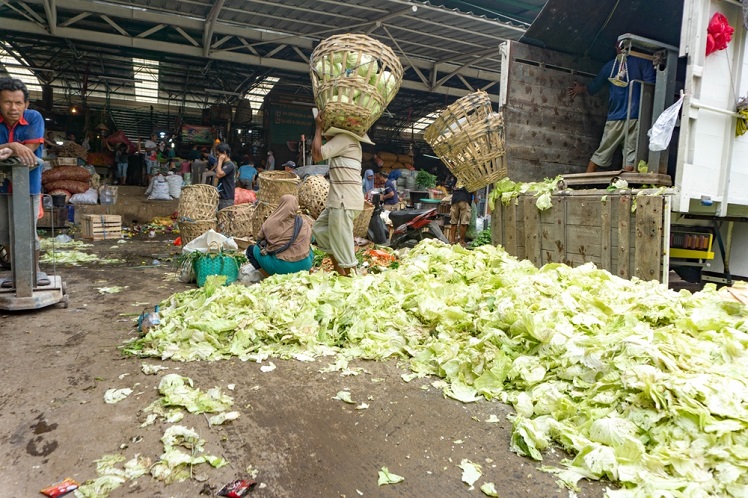 Unlocking The Potential of Biodegradable Waste: Your Eco-Friendly Guide