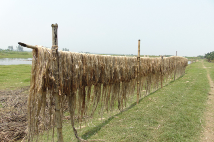 Jute - The Most Sustainable Fiber – YaYa & Co.