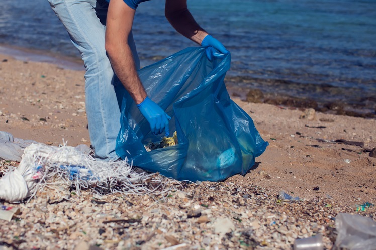 Young Whale Found in Philippines With 88 Pounds of Plastic Bags in Stomach  Died of 'Dehydration and Starvation