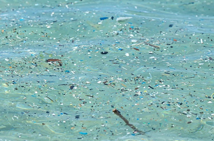 where do microplastics come from