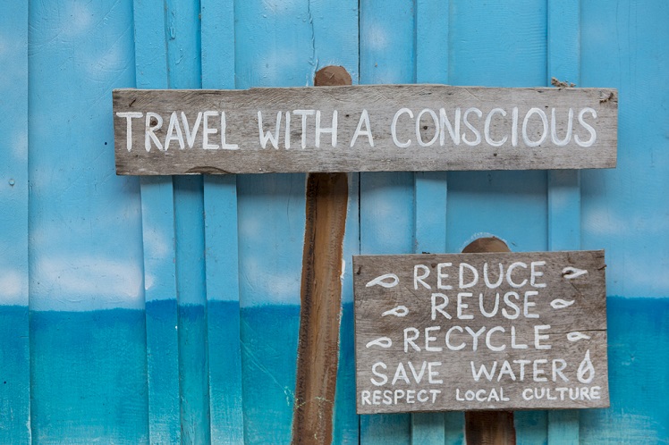 Eco-conscious Term